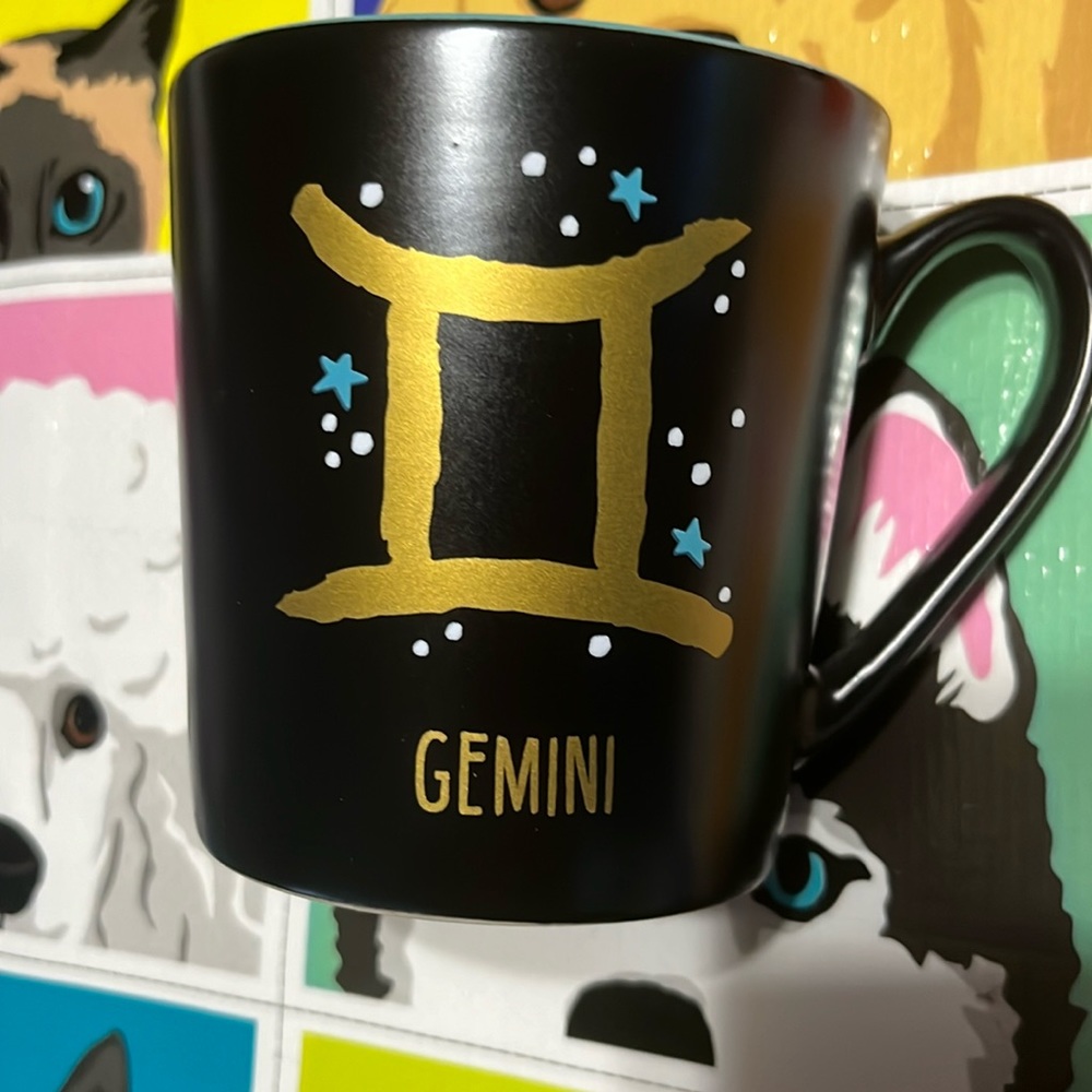 Gemini ♊️ Mug